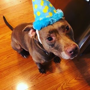 Meet your Posher, Victoria